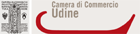 CCIAA UDINE