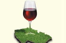 Víno&Destiláty 2011